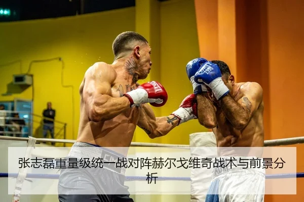 张志磊重量级统一战对阵赫尔戈维奇战术与前景分析